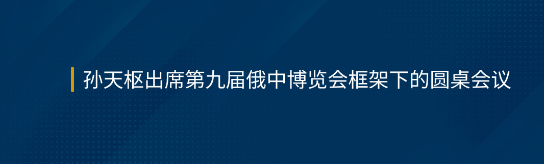 孙天枢出席第九届俄中博览会框架下的圆桌会议