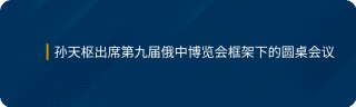 孙天枢出席第九届俄中博览会框架下的圆桌会议
